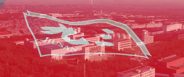 20240621/547578dbe2efc8fb025015ddf3837750.gif