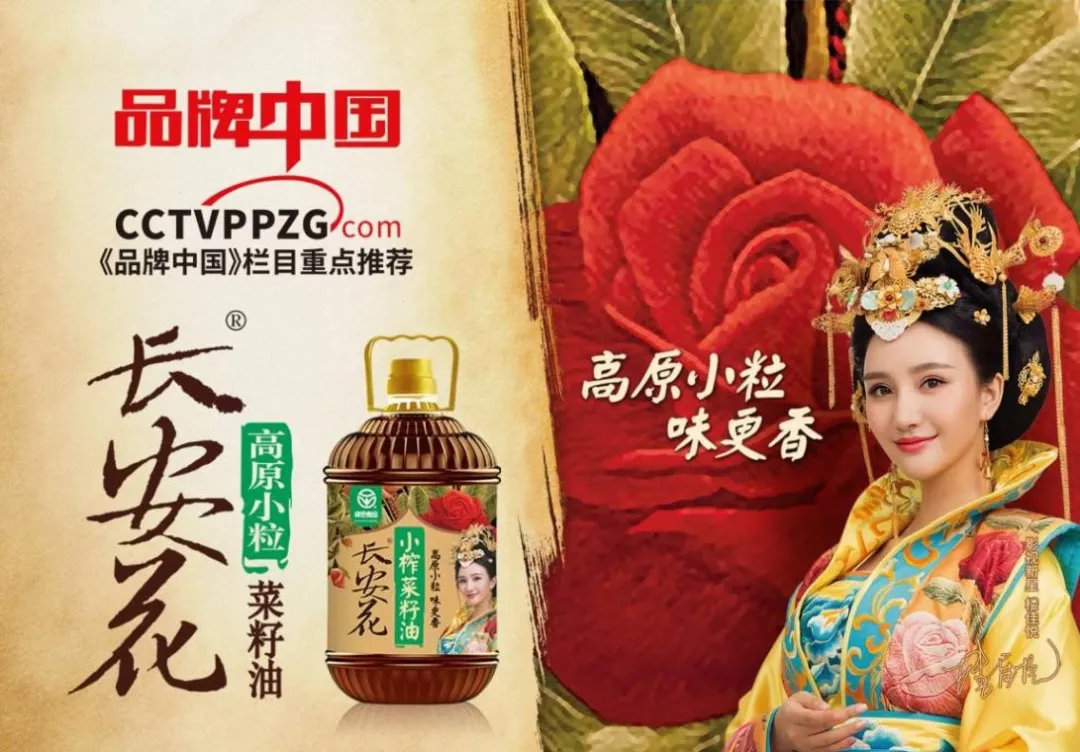 20250205/b997a1153c65fda418fcfa6d10789466.png