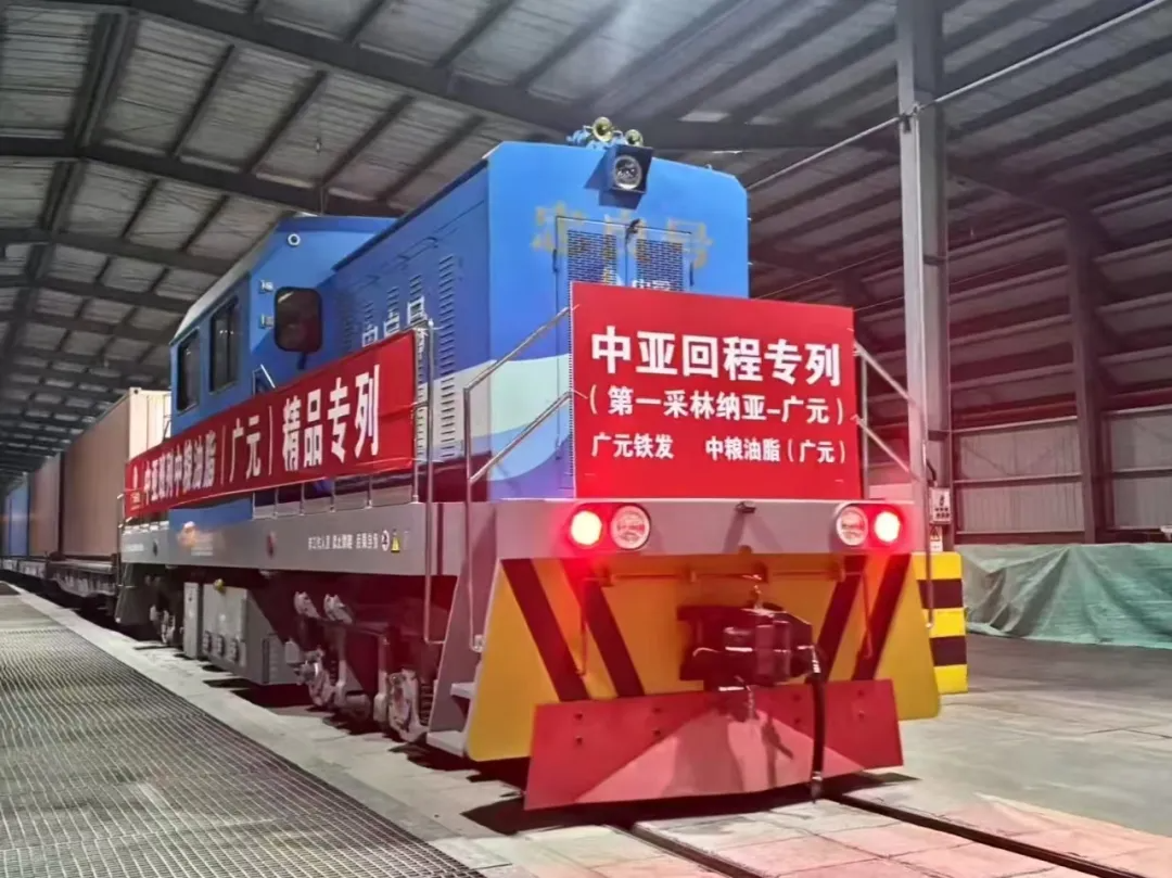 20250218/a4282a14c25e1691f0b38b3217abb093.png