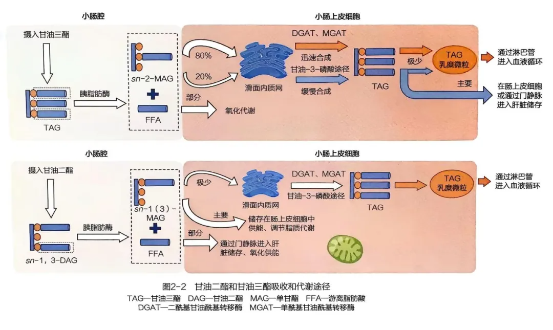 20250310/0a92a06098a77d4ef8d241b8ad5f6710.png