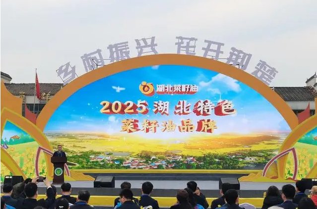 20250401/4b325d01842dd5a1219101305bf396ed.png